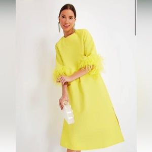Tuckernuck Jamie Citron Feather dress